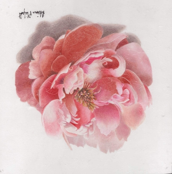 Alison Philpott, Peony Blossom