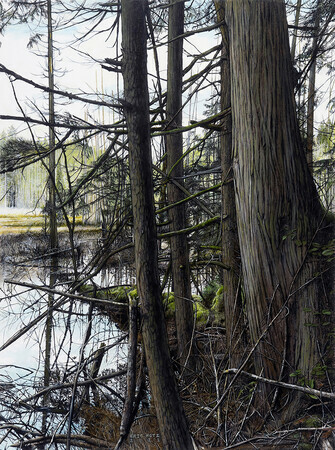 Eric Hotz, Beaver Pond