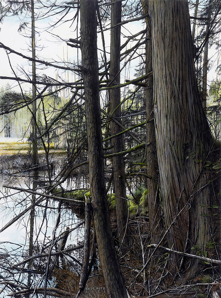 Eric Hotz, Beaver Pond