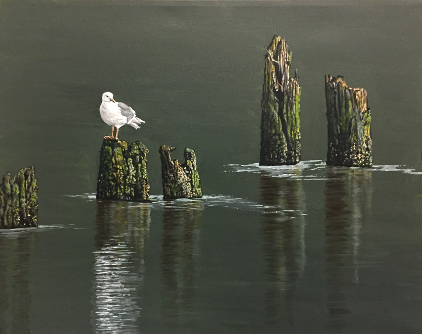 Joyce Trygg, Cowichan Bay Solitude