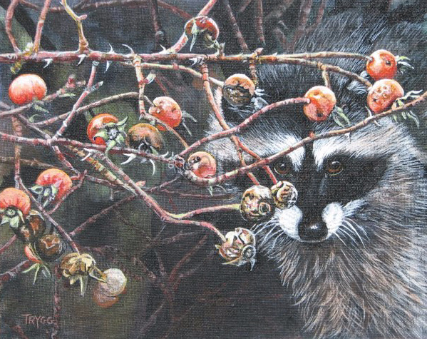 Joyce Trygg, Racoon and Rose Hips