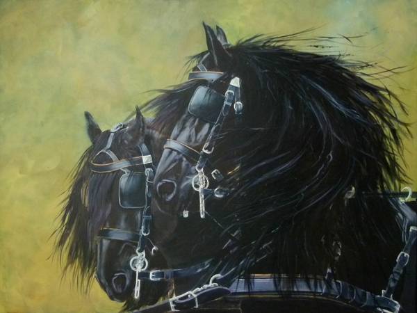 Judy Vanderveen, the Friesians