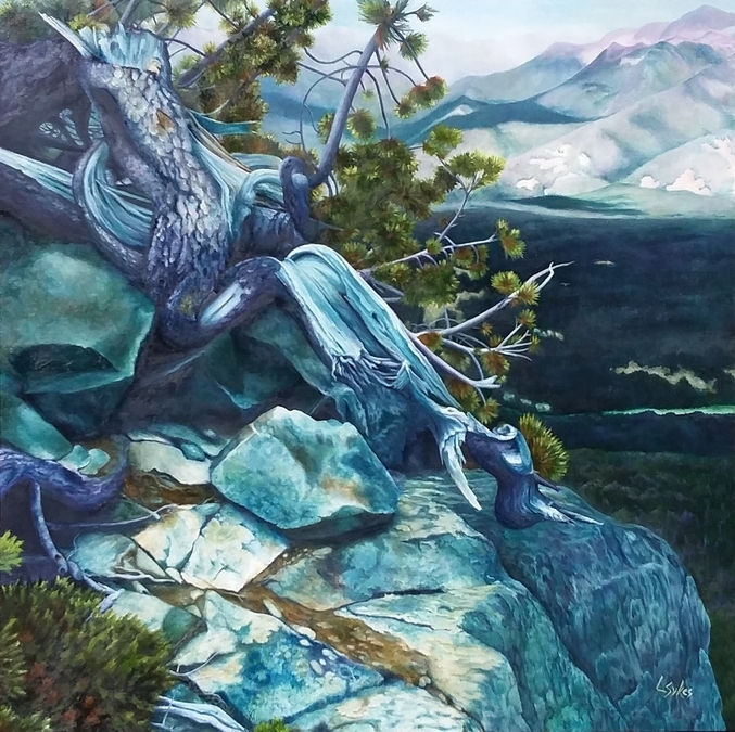 Lynn Sykes, Chilcotin Odyssey