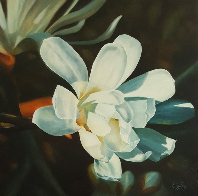 Lynn Sykes, Early Morning Star Magnolia