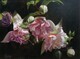 Lynn Sykes, Fuchsia Bouquet