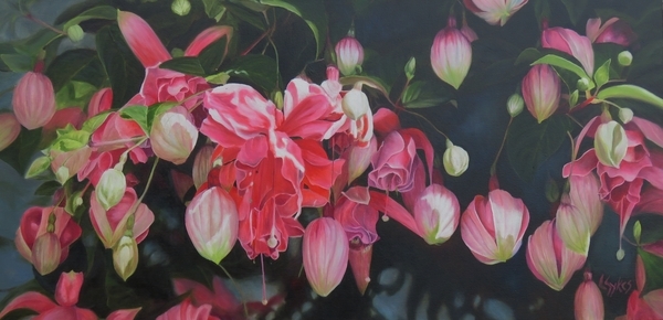 Lynn Sykes, More and More and More Fuchsias