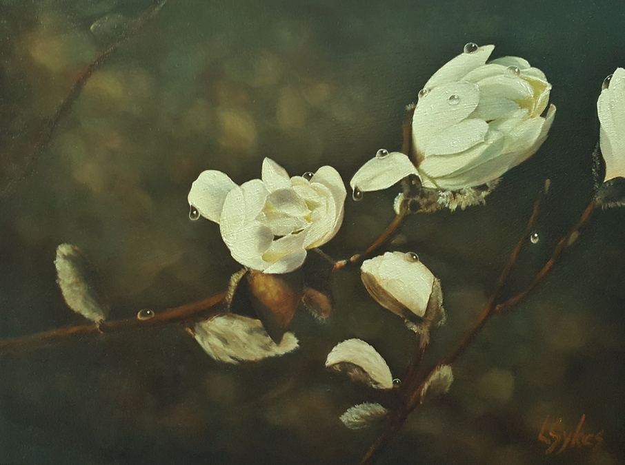 Lynn Sykes, Spring Rain Magnolia