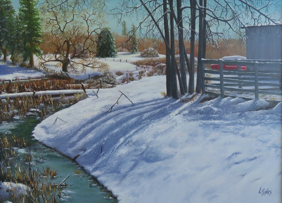 Lynn Sykes,Winter Solitude II