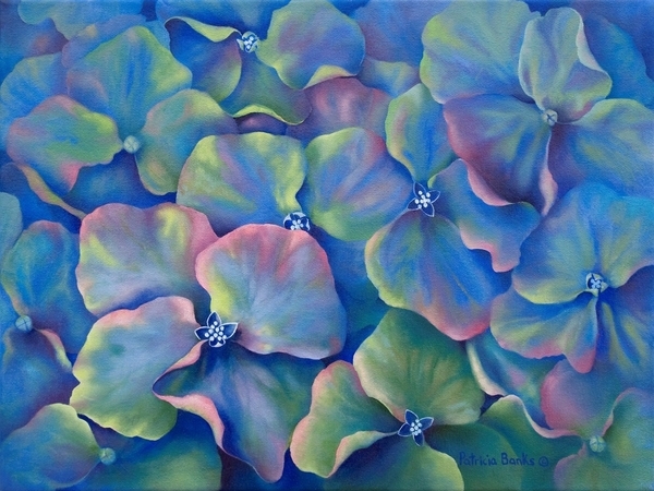 Patricia Banks, Hydrangea