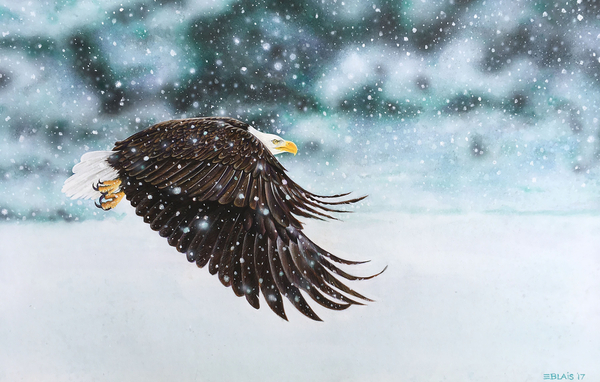 Eric Blais, Snowy Flight