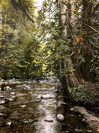 Kanaka Creek, No2