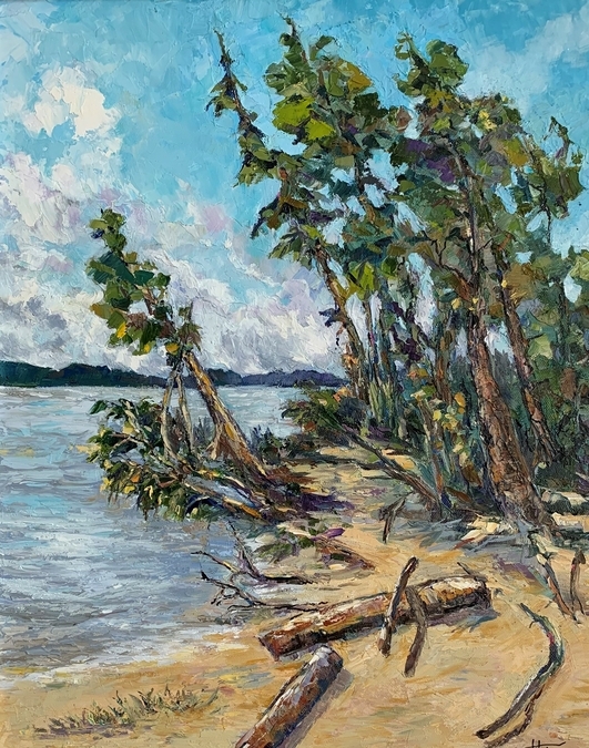 Victor Gligor,  Fraser Close to the Ocean
